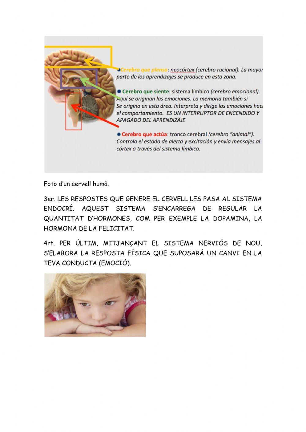 Les emocions amb la música