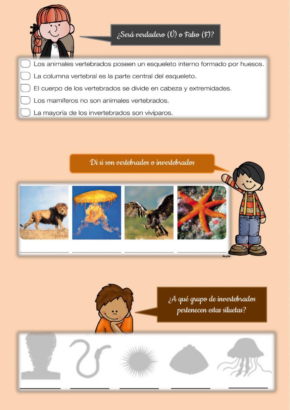 Animales vertebrados e invertebrados.  Funciones vitales