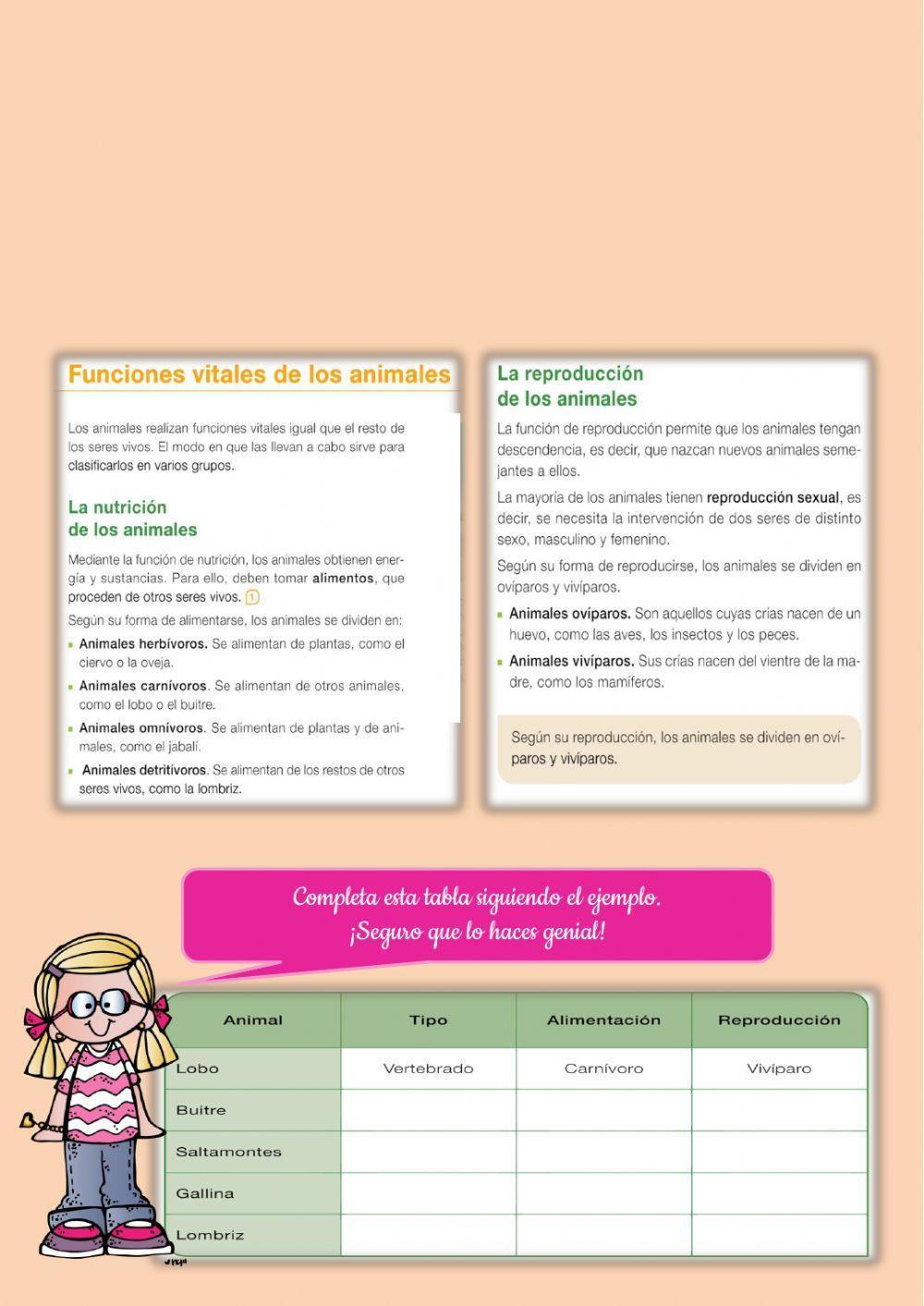 Animales vertebrados e invertebrados.  Funciones vitales