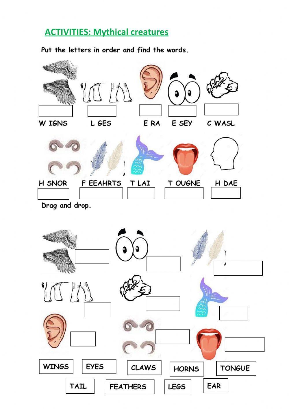 Animals body parts