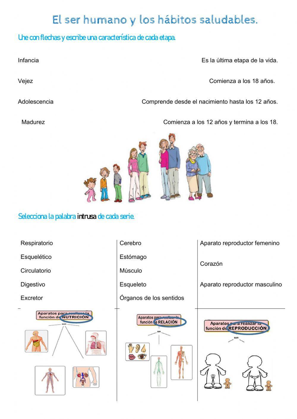 C. Naturales Autocorregible 5.