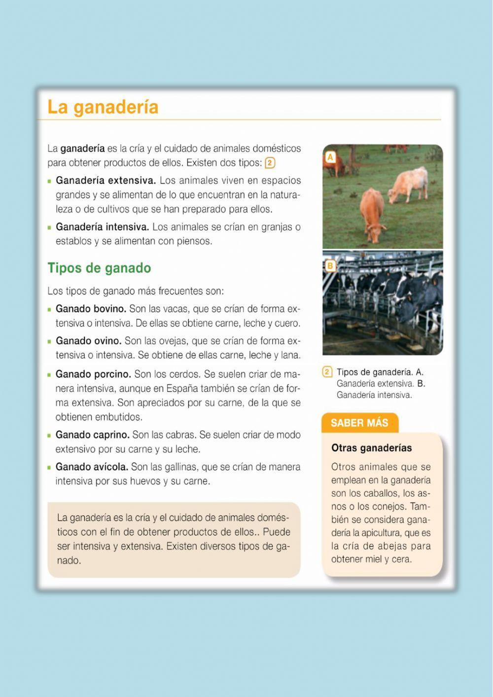 Ganadería. Beneficios de los animales