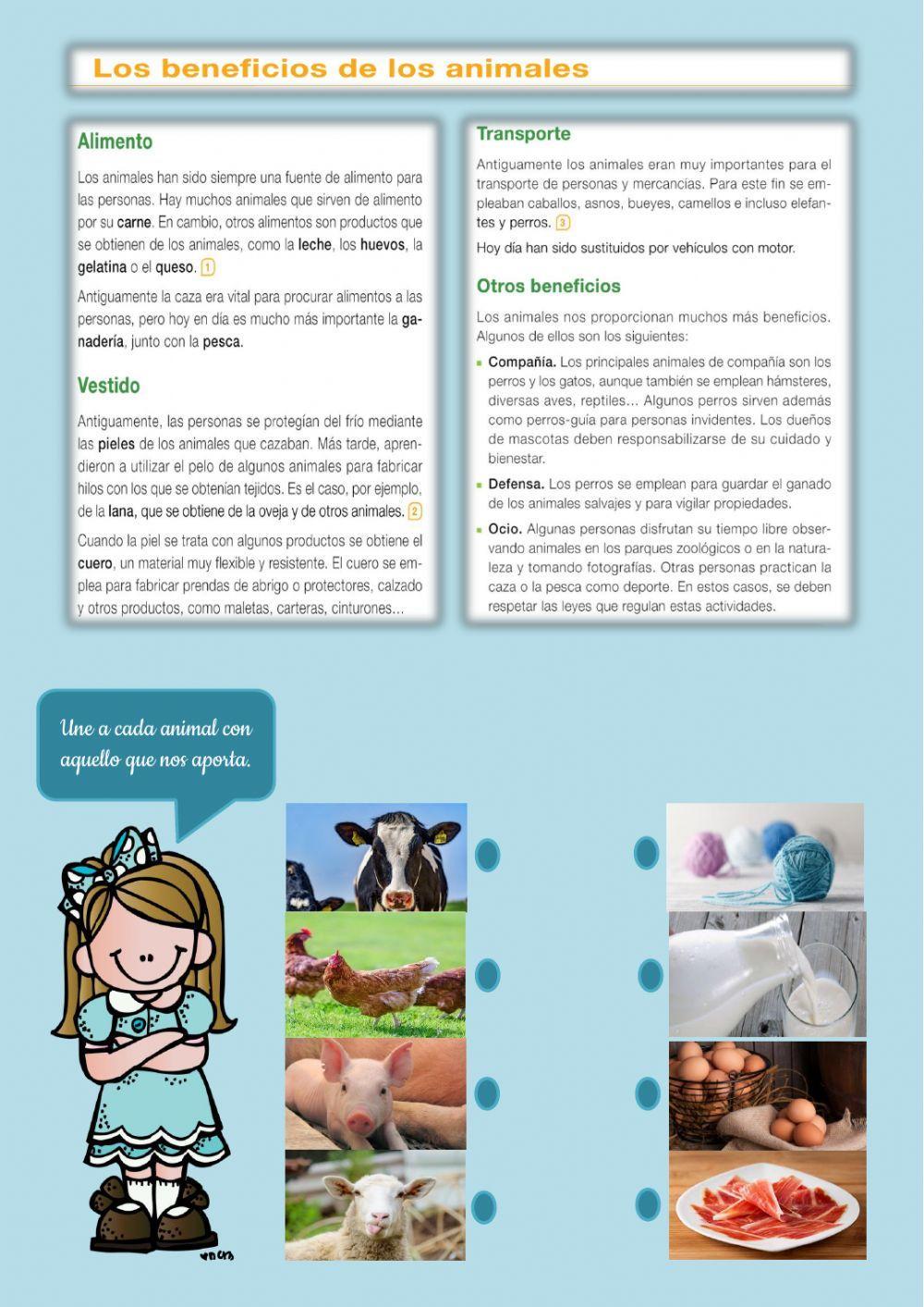 Ganadería. Beneficios de los animales