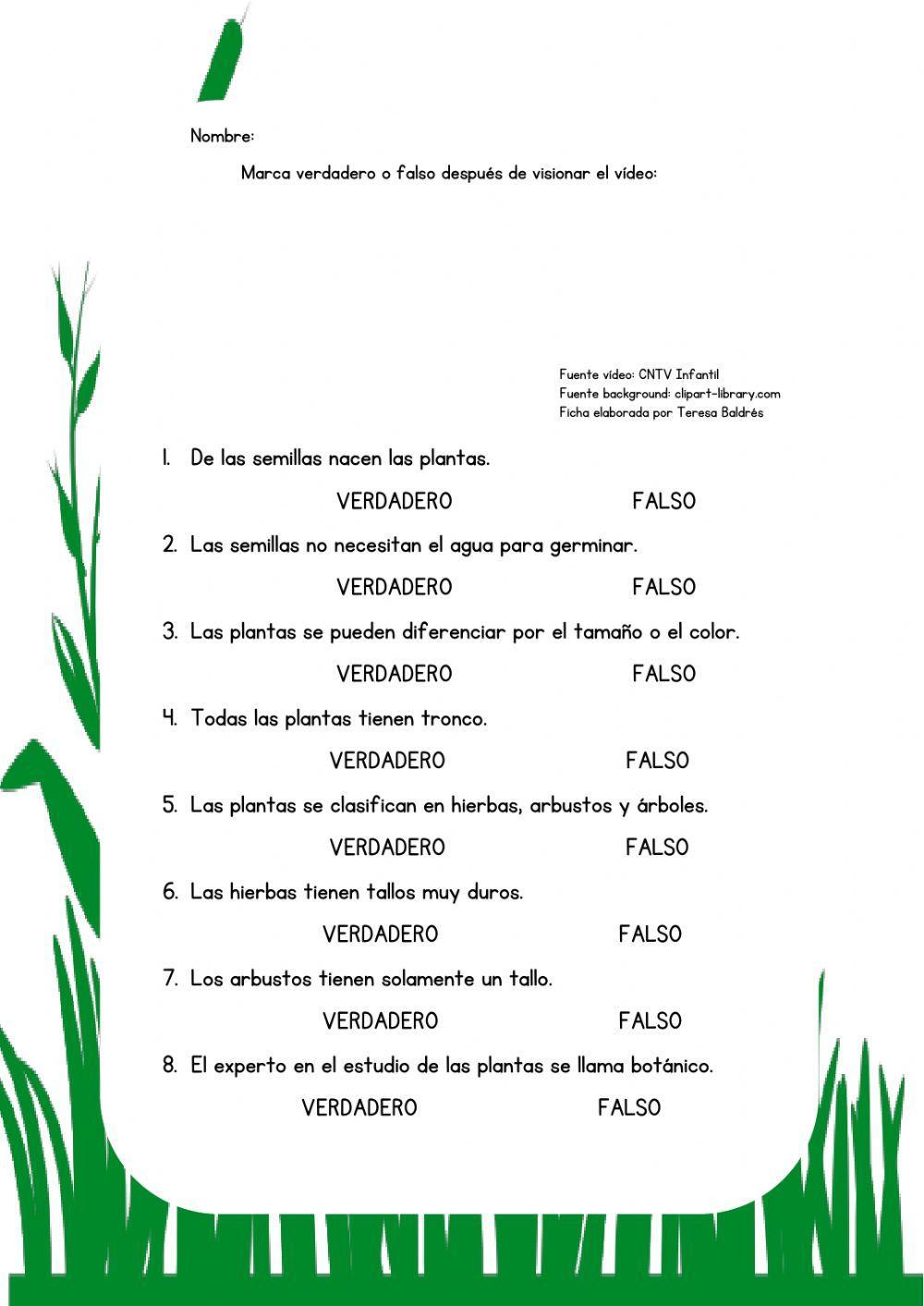 Clasificación de las plantas