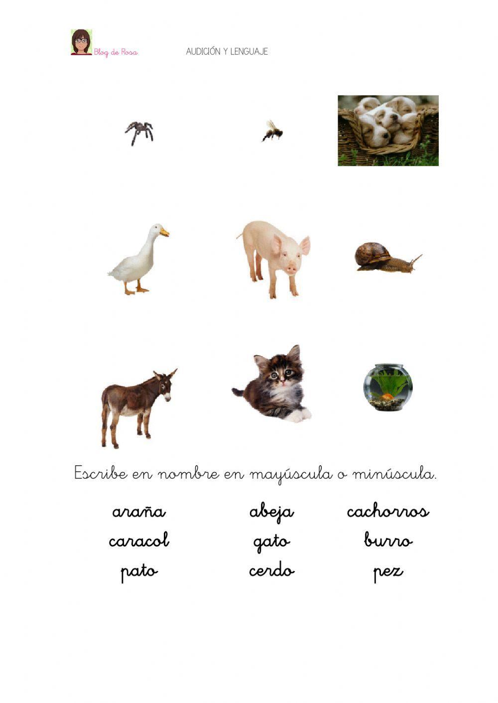 Animales domesticos