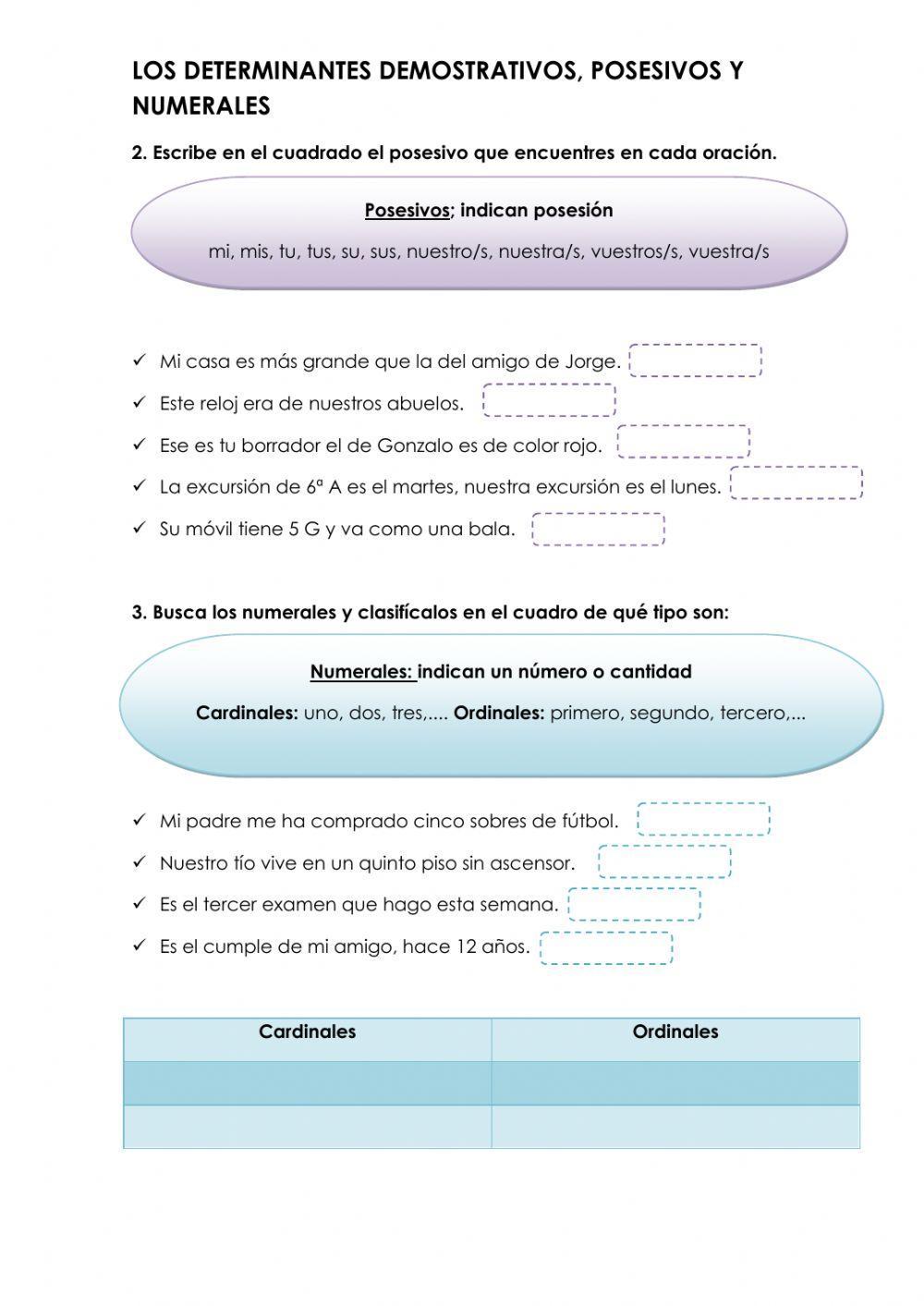 Determinantes posesivos, demostrativos y numerales