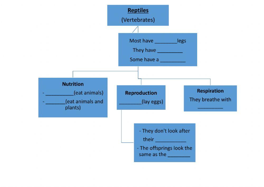 Unit 4 Reptiles Complete Scheme