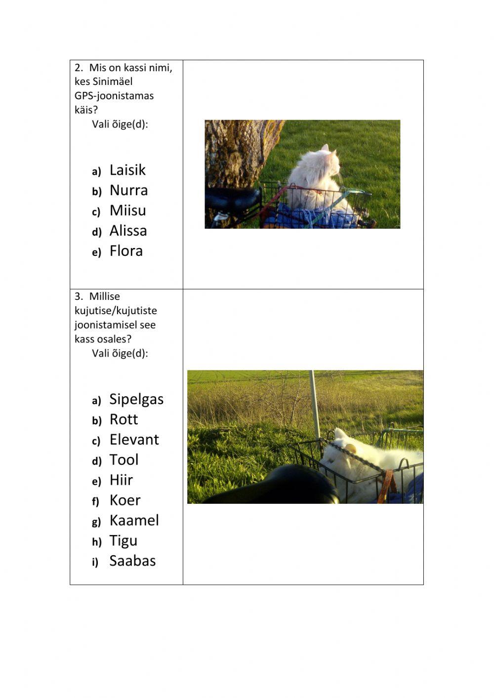 GPS-kunsti õppe tähelepanu küsimused