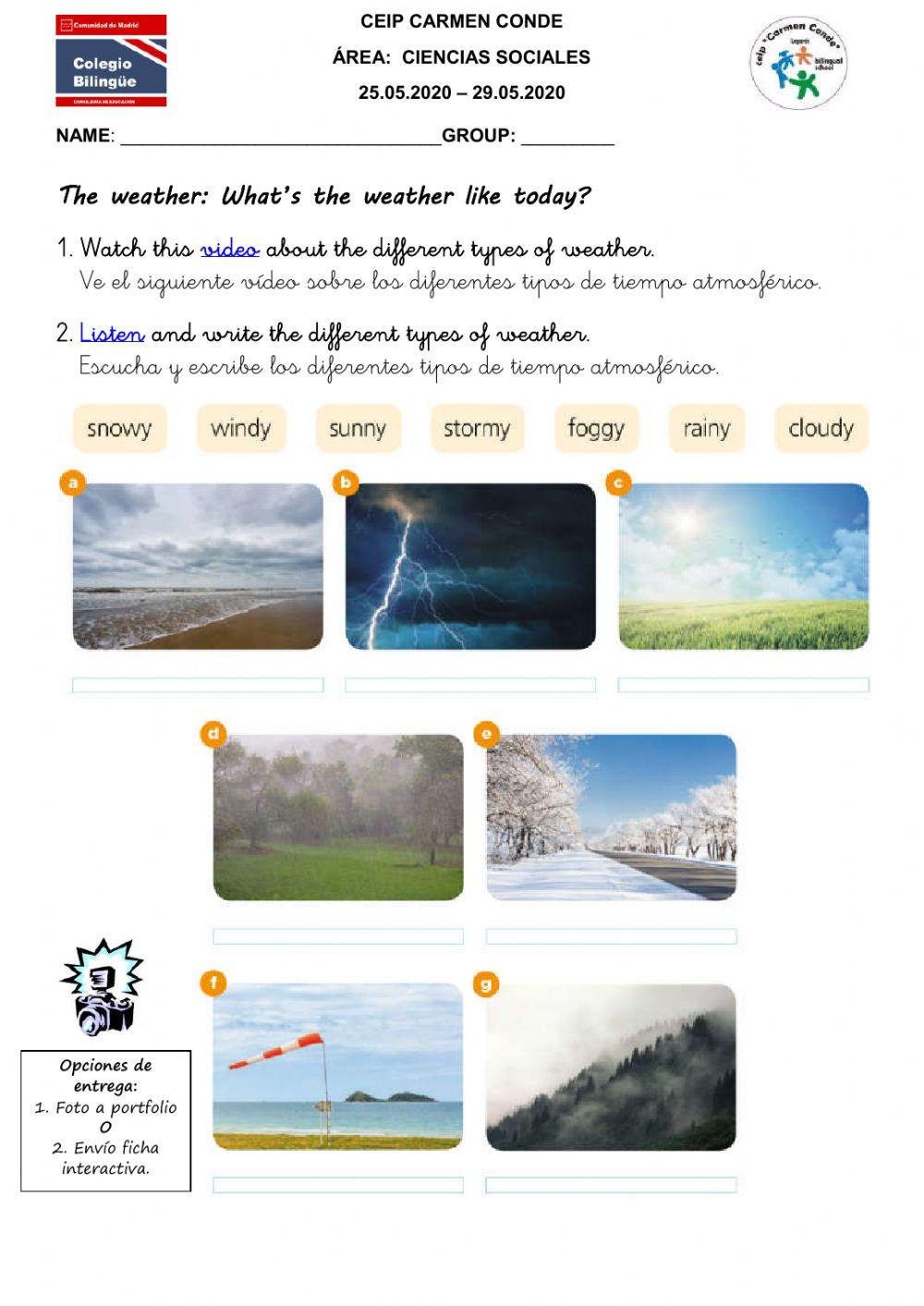 Science - Ficha 1 - 01.06-05.06