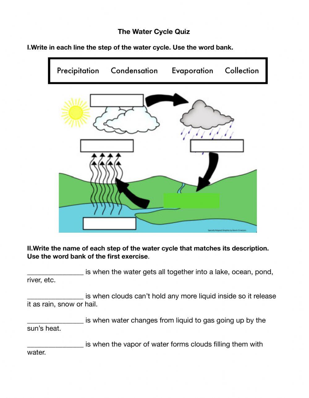 Water Cycle Quiz online exercise for | Live Worksheets