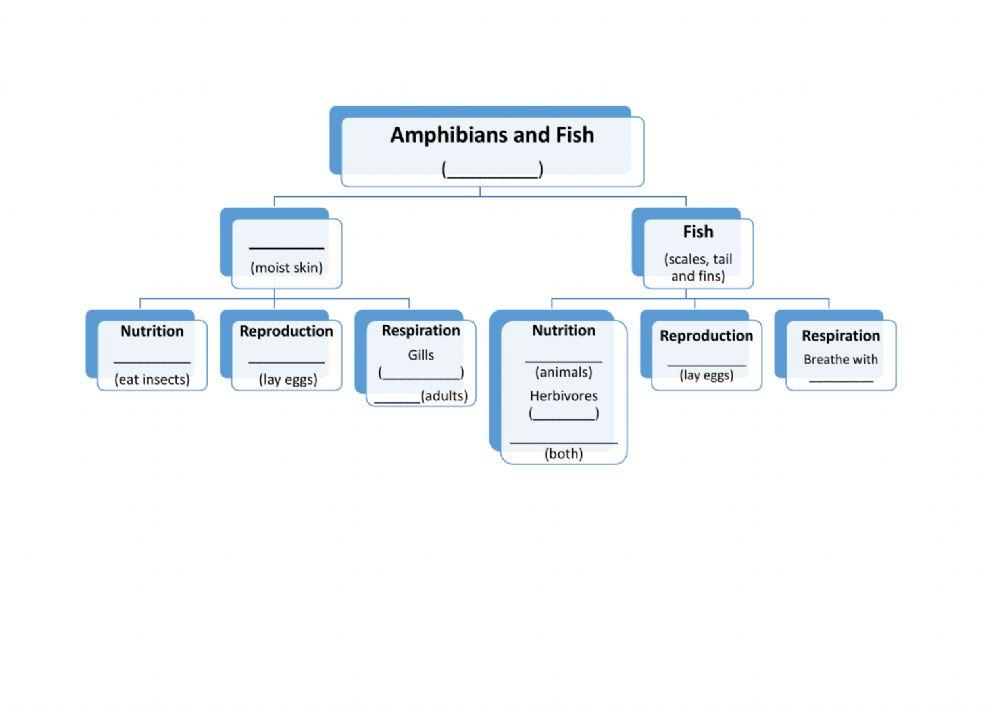 Unit 4 Amphibians and Fish Complete the Scheme