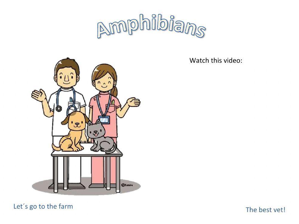 Amphibians game Amphibians game