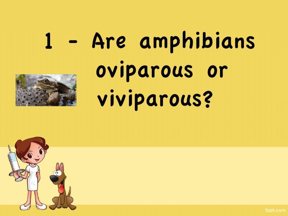Amphibians game Amphibians game