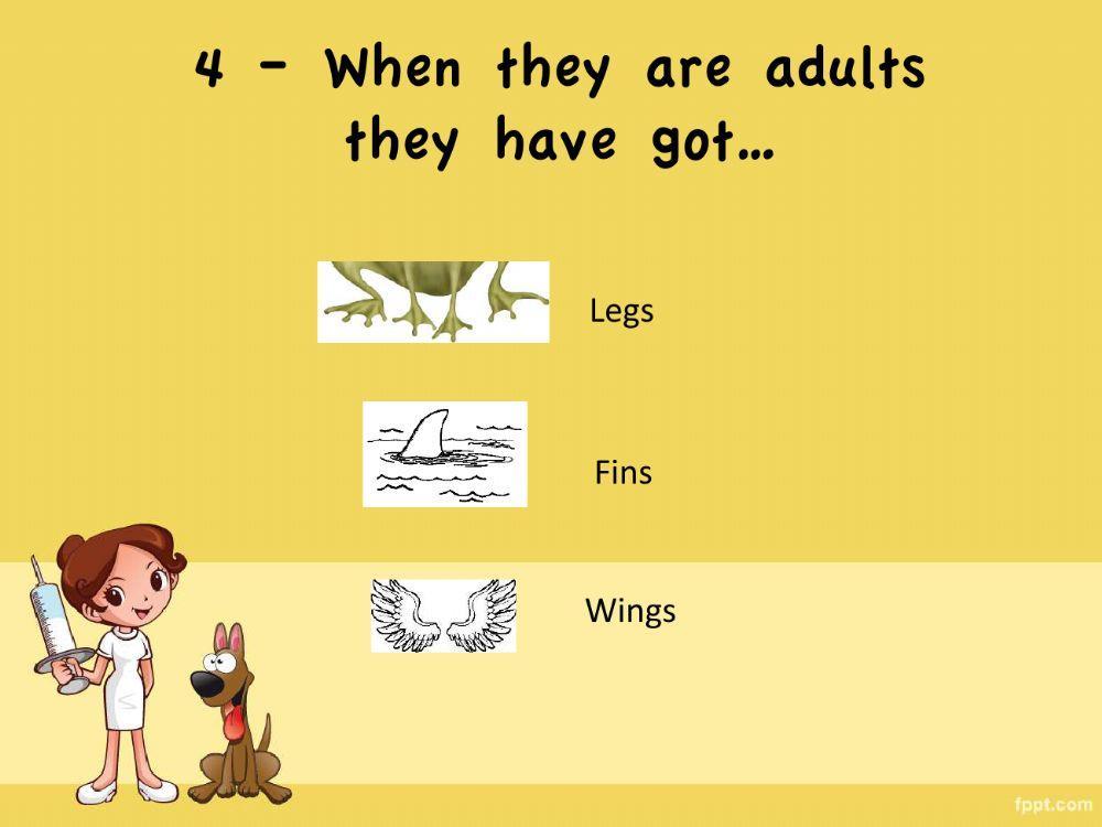 Amphibians game Amphibians game