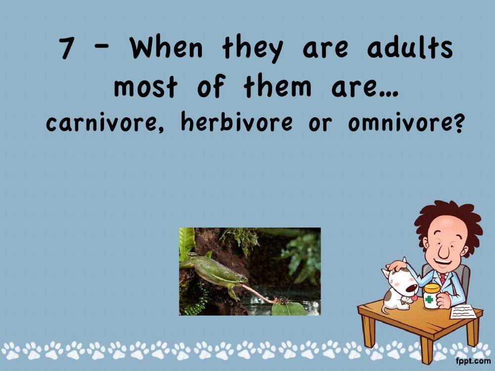 Amphibians game Amphibians game