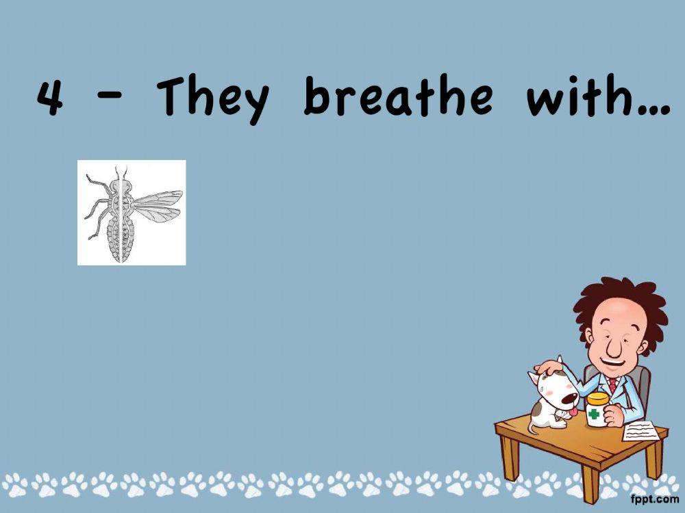 Insects game Insects game
