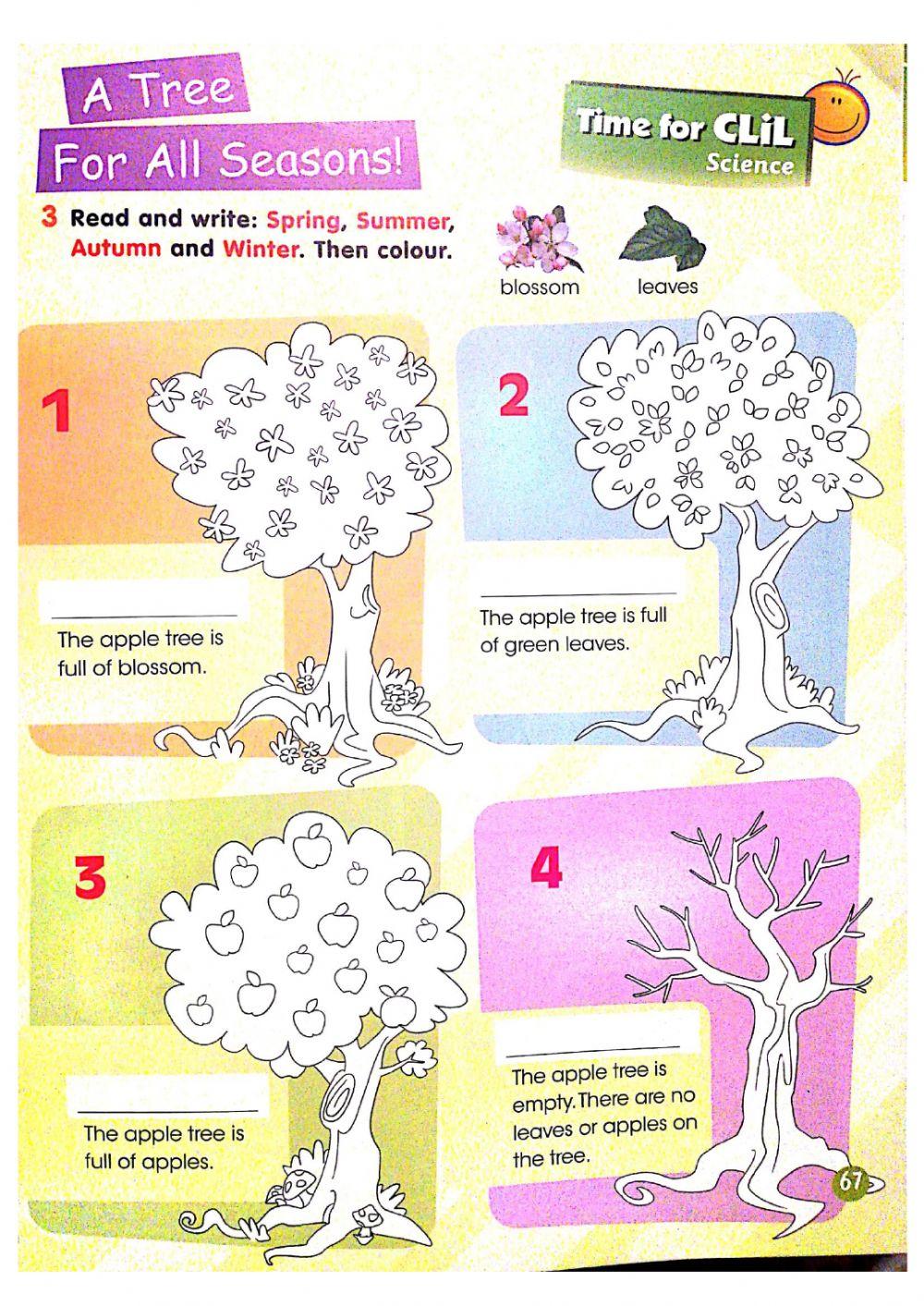 A Tree For All Seasons!