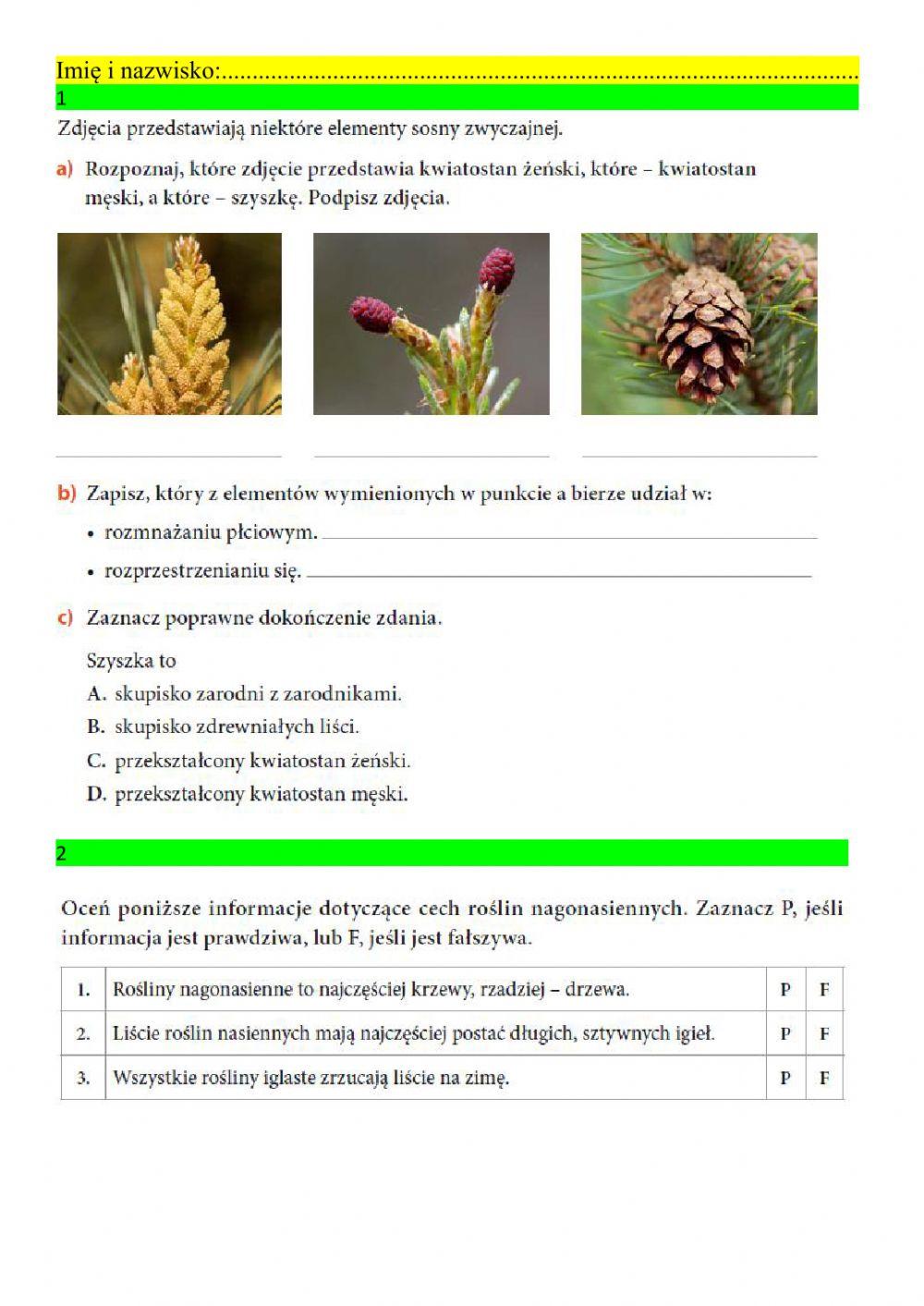 Nago i okrytonasienne klasa 5b