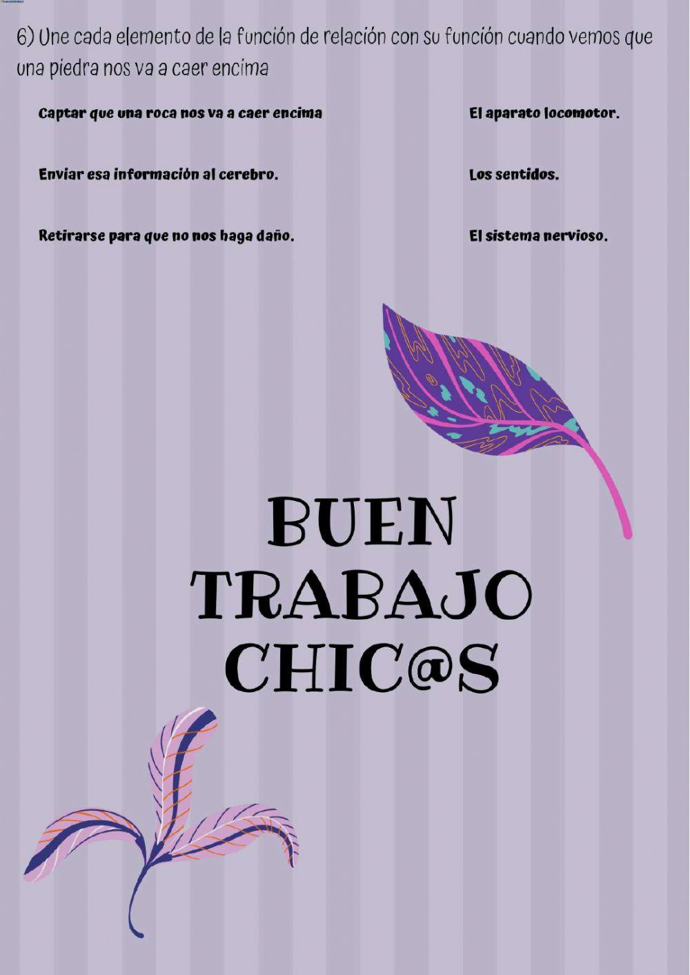 La función de relación.