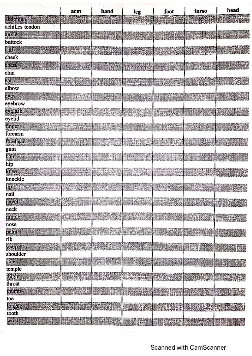 Body parts