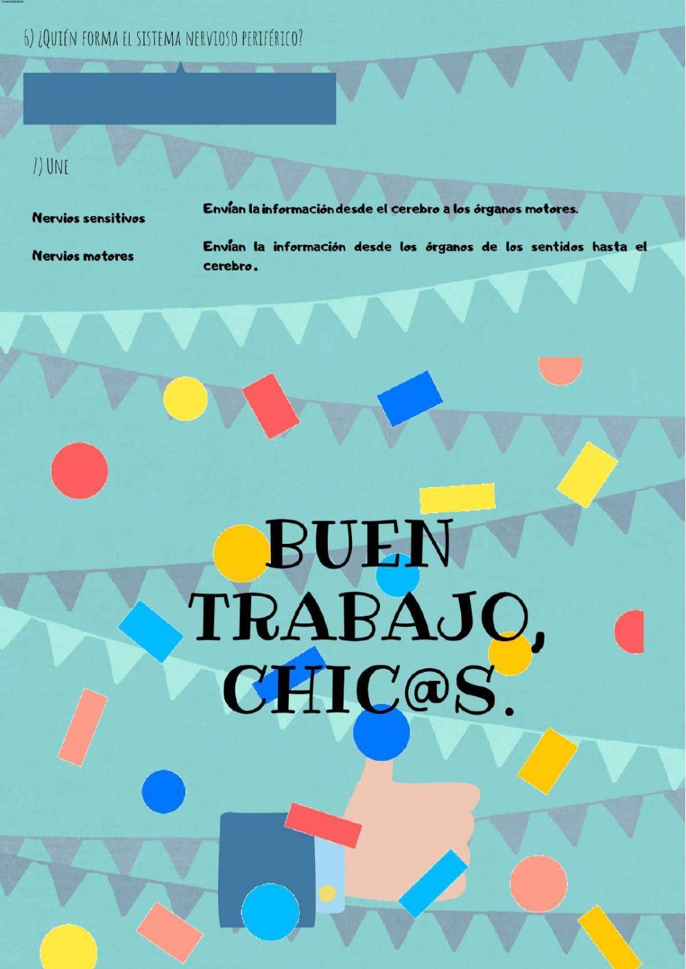 El sistema nervioso.