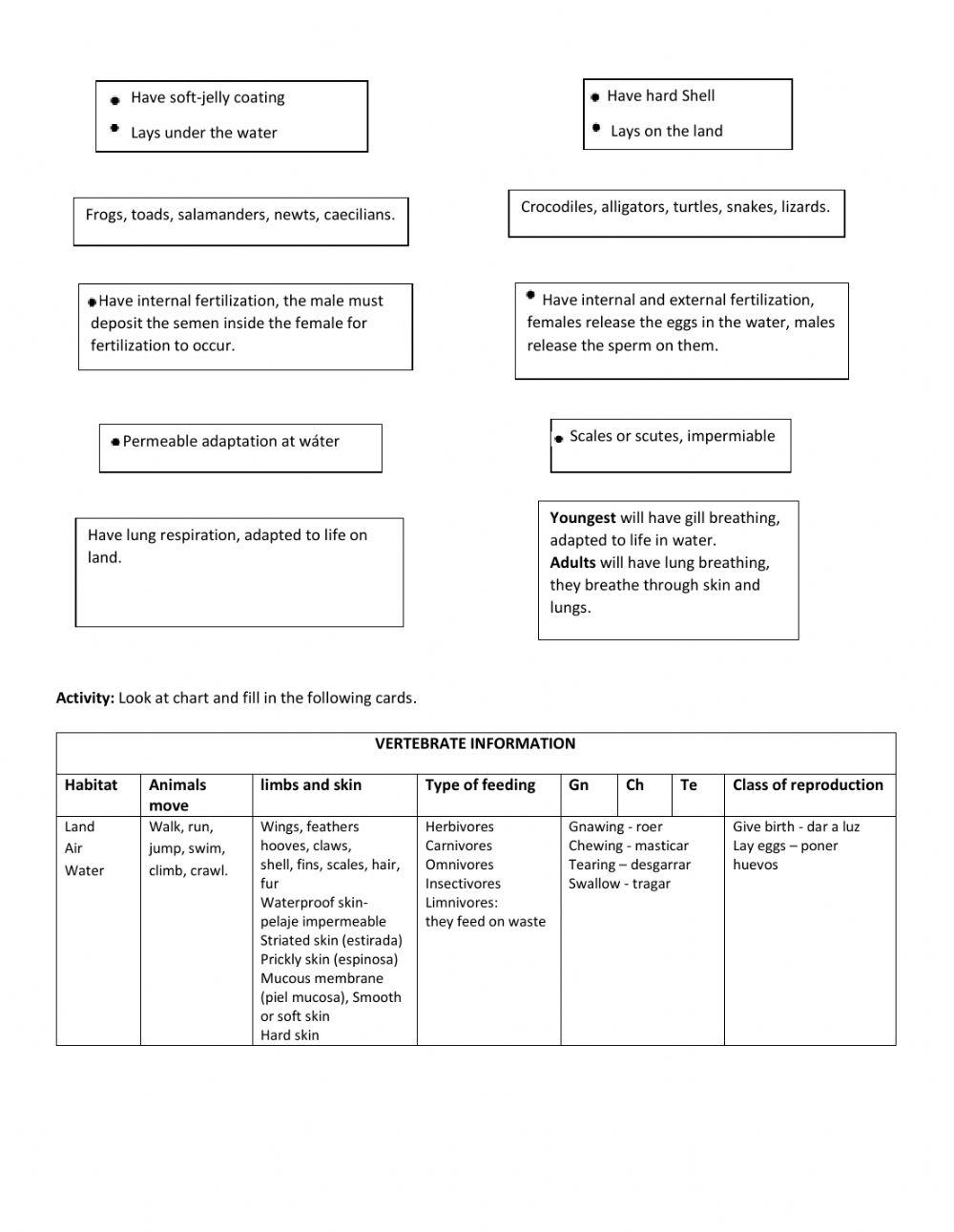 Amphibians, reptiles and mammals