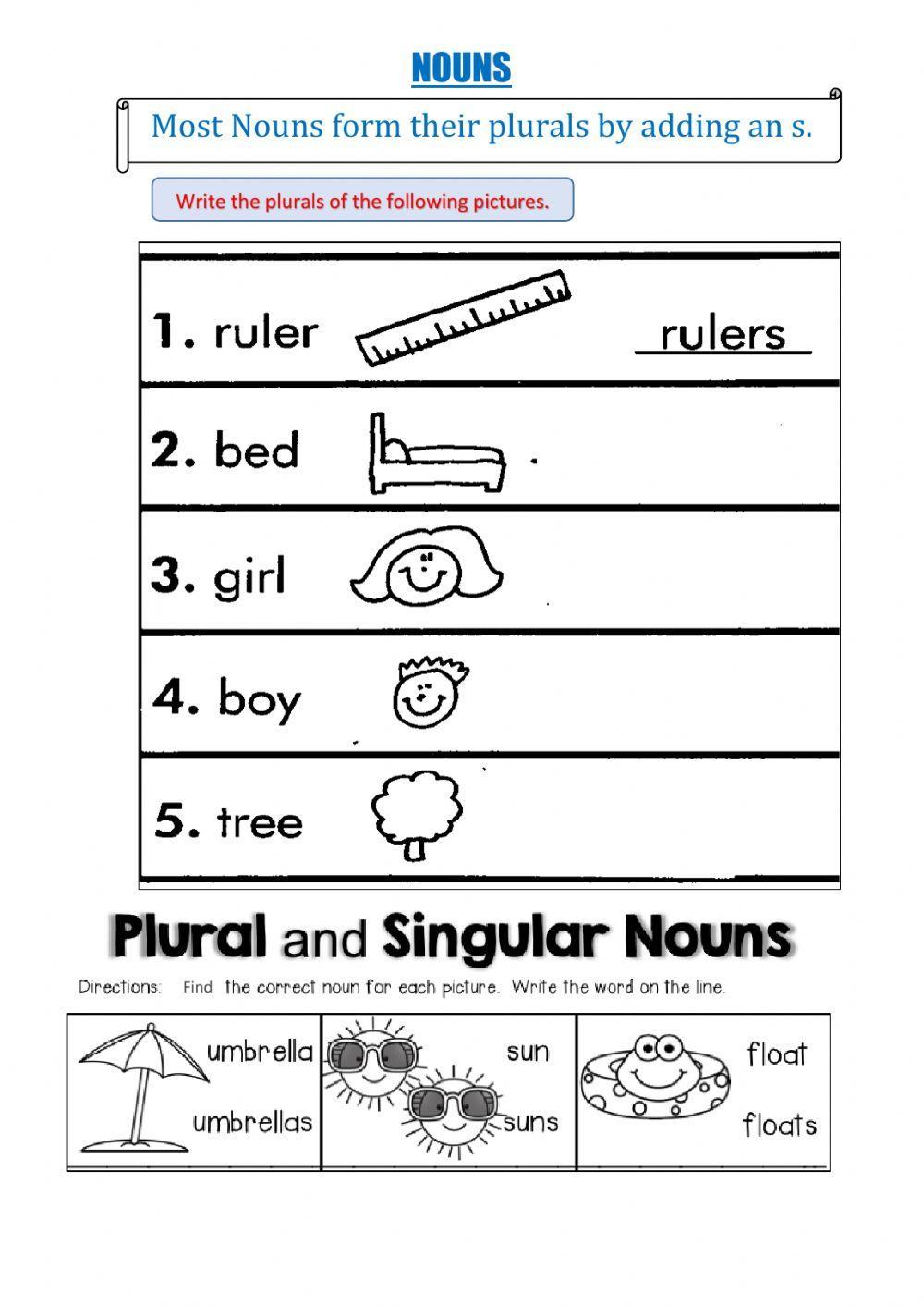 Singular and Plural Nouns