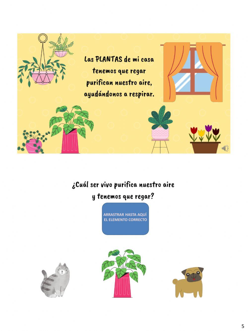 Jugando con las palabras, elementos del hogar