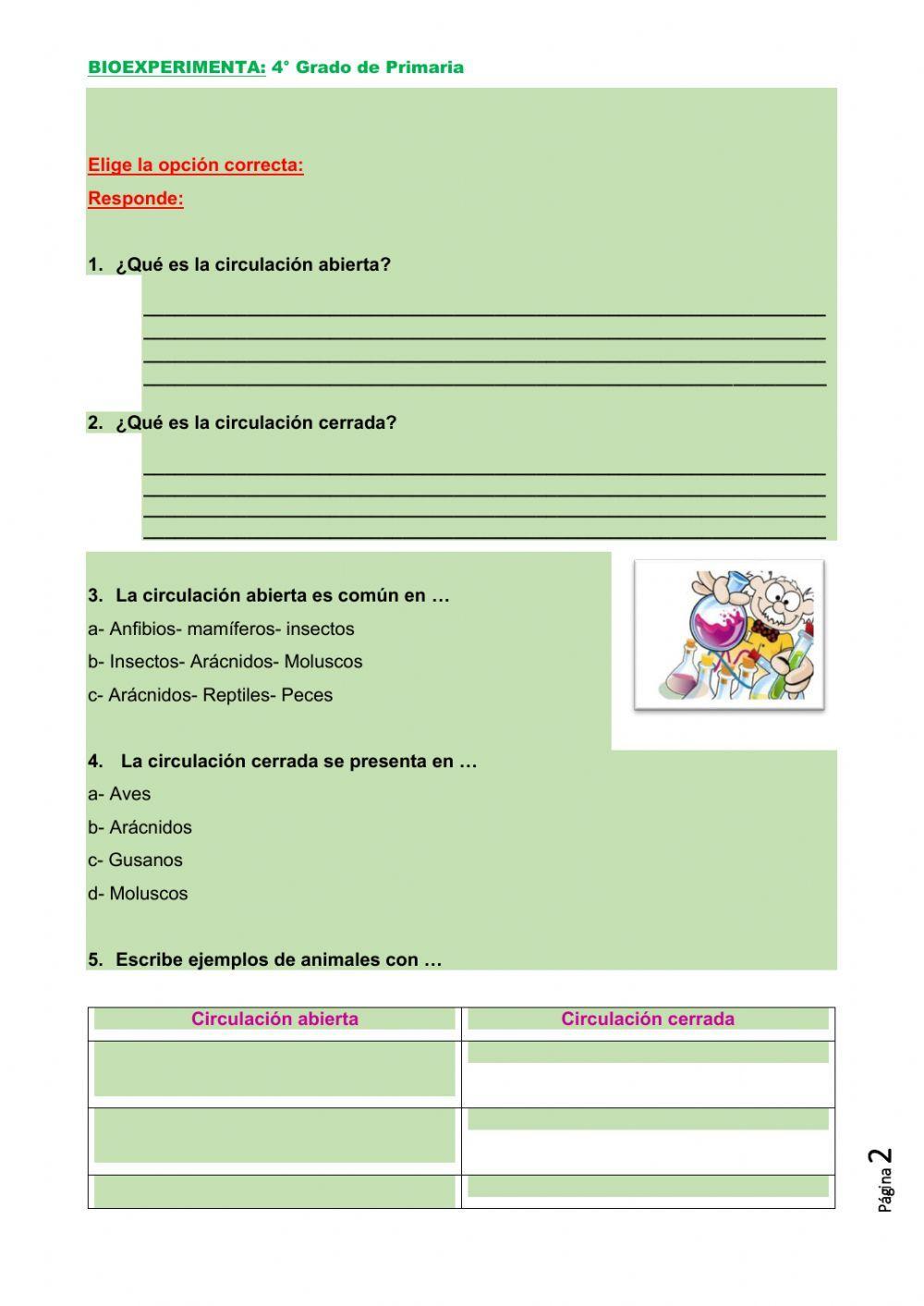 Circulación en animales Circulación en animales