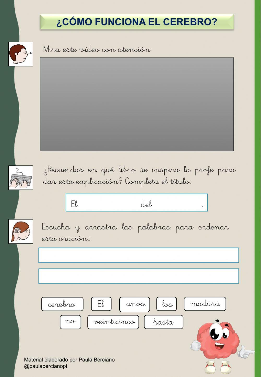 Educación emocional: el cerebro