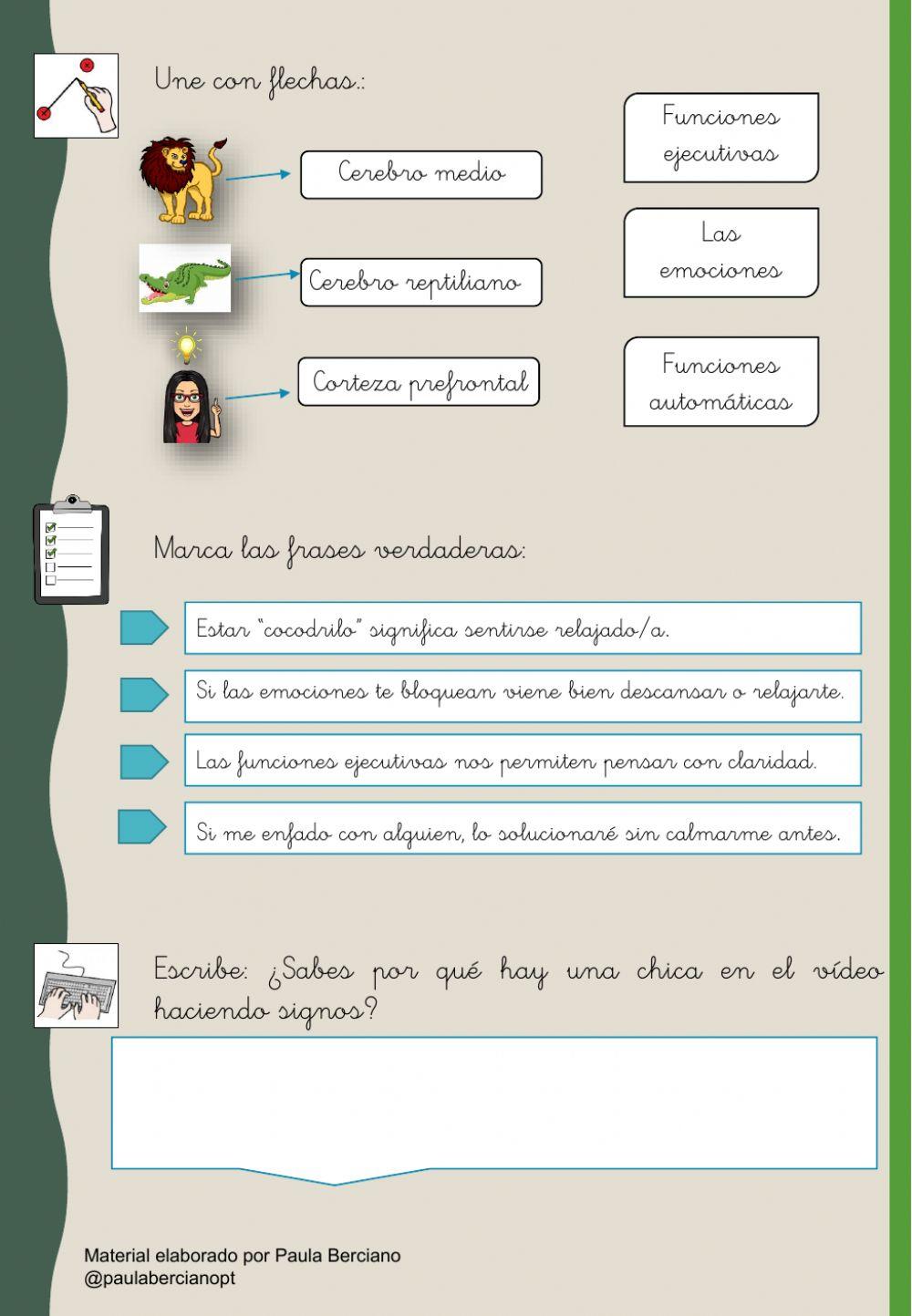 Educación emocional: el cerebro