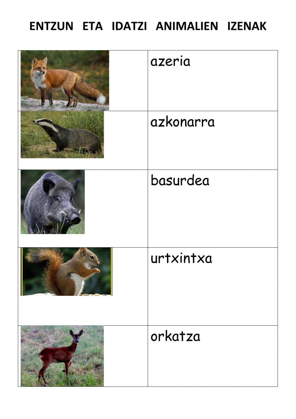 Basoko animaliak (xehez)