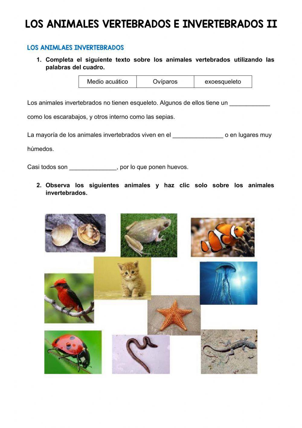 Los animales invertebrados