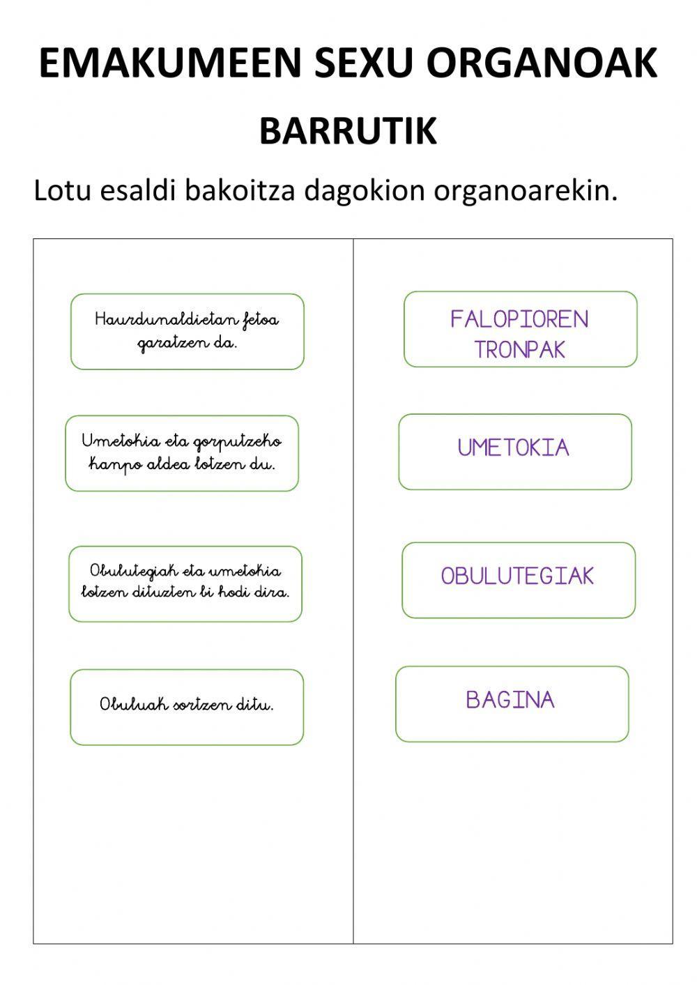 Emakumeen ugalketa aparatuak