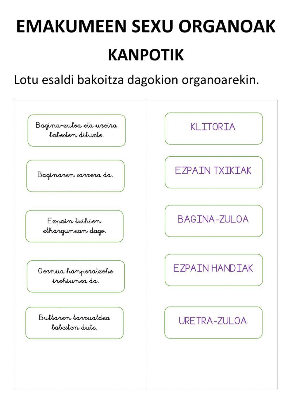 Emakumeen ugalketa aparatuak