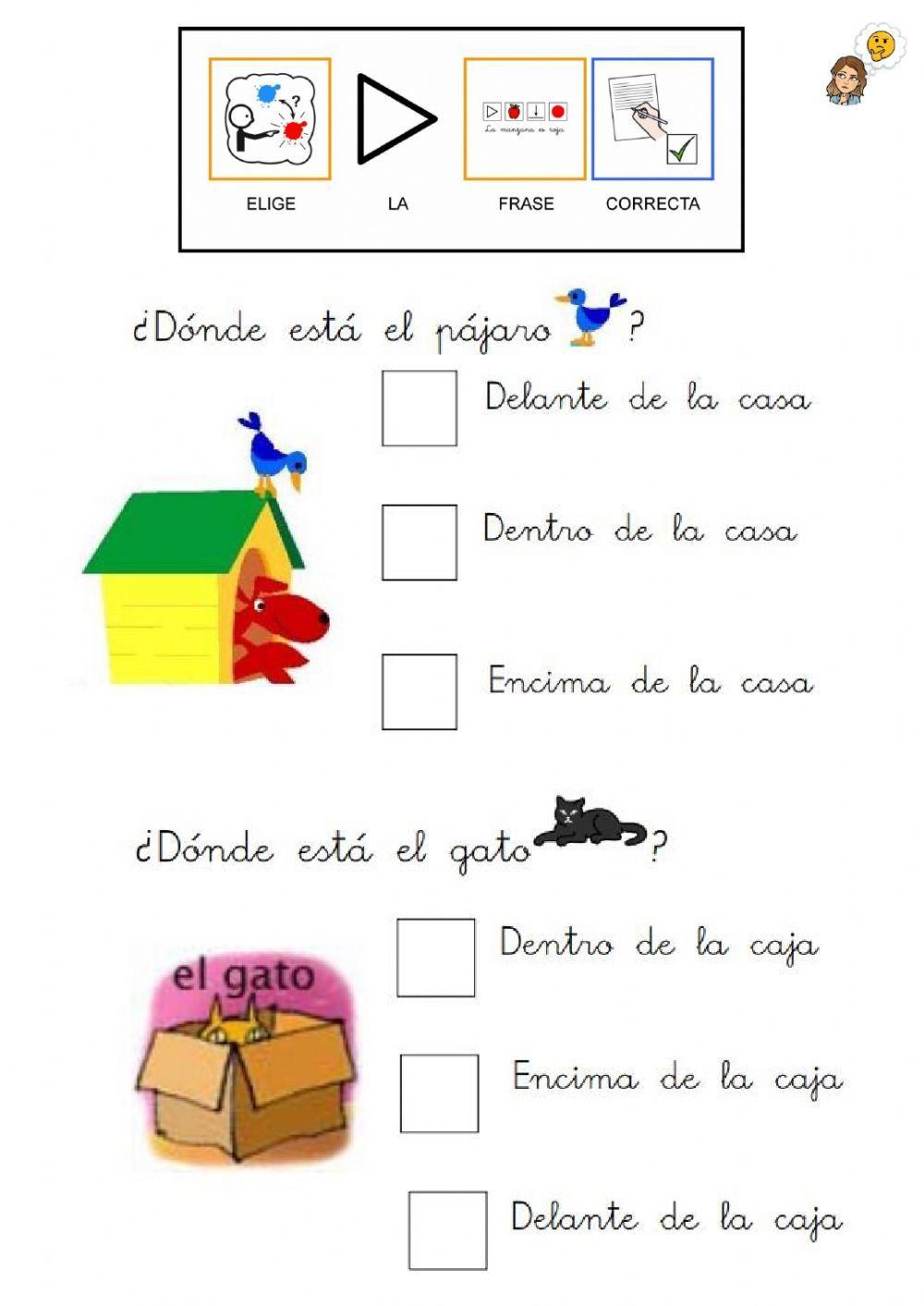 Conceptos básicos. Elige la correcta.