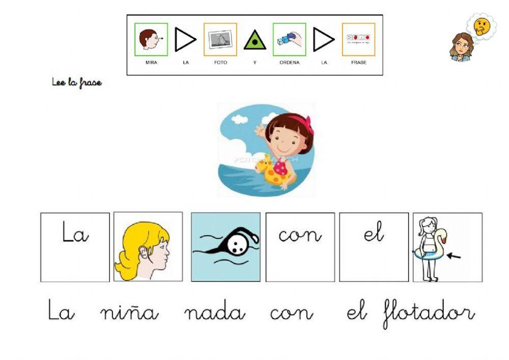 Lee y ordena la frase