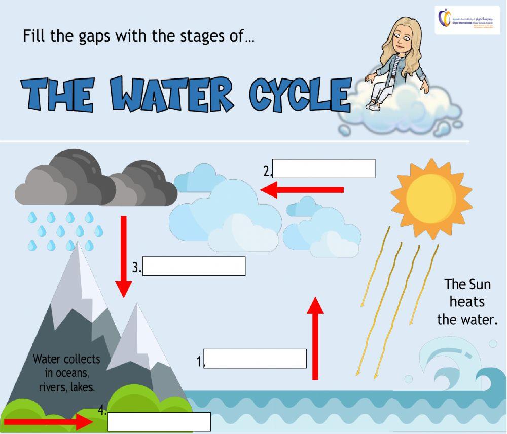 The water cycle online exercise for | Live Worksheets