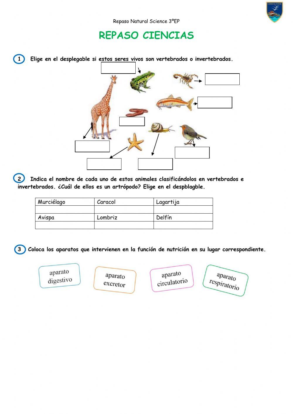 Repaso natural Science 3ºEP Term 1