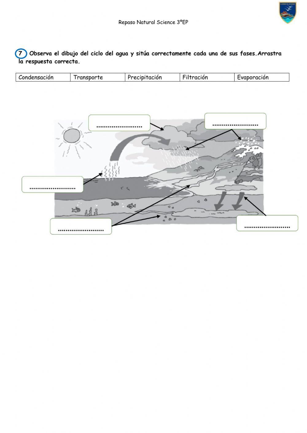 Repaso natural Science 3ºEP Term 1