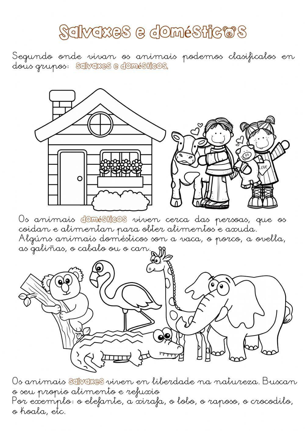 Animais salvaxes e domésticos Animais salvaxes e domésticos