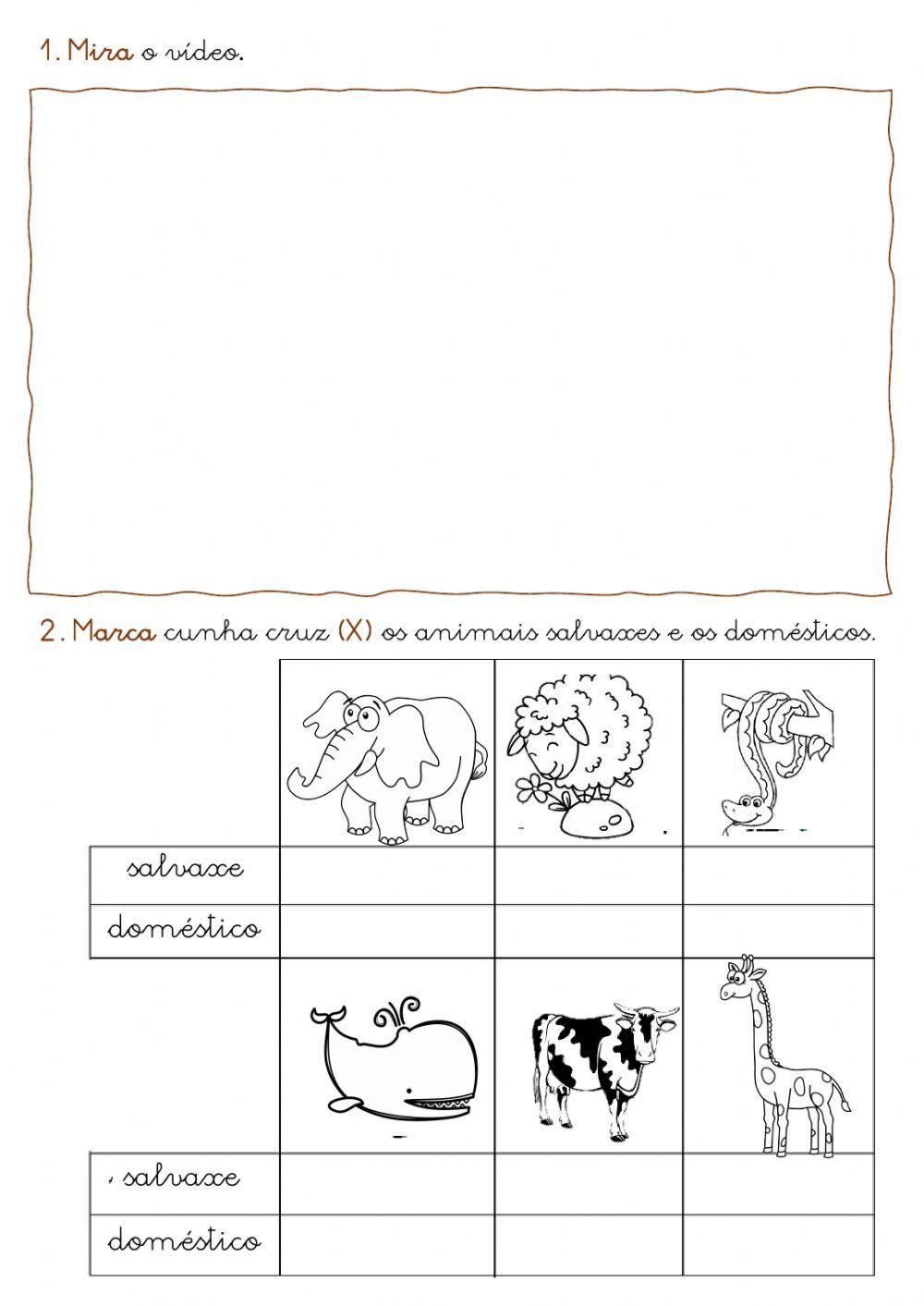 Animais salvaxes e domésticos Animais salvaxes e domésticos