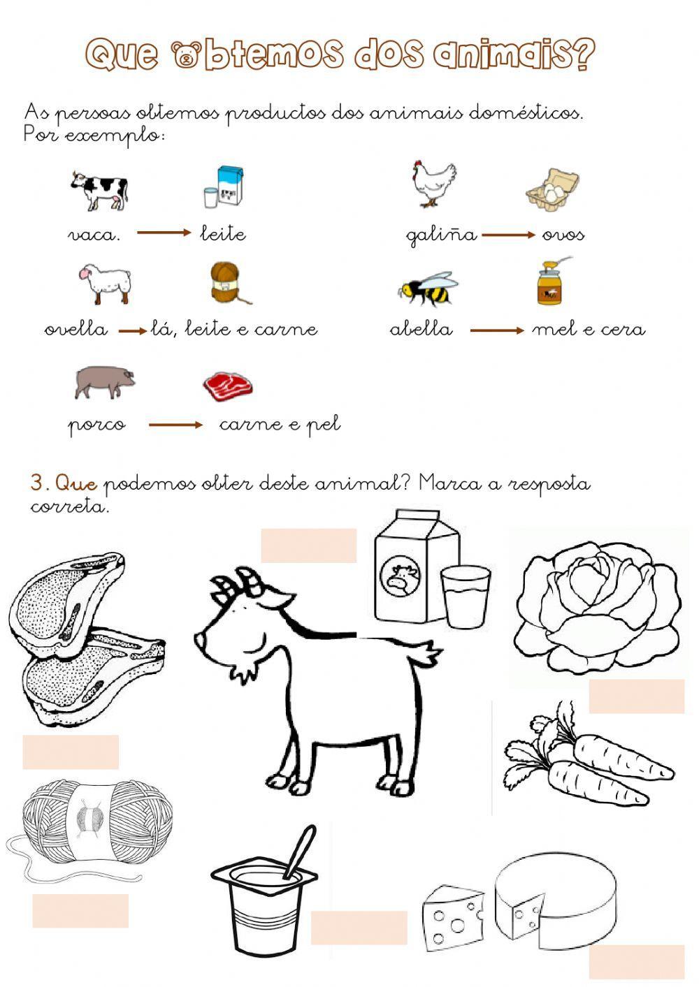Animais salvaxes e domésticos Animais salvaxes e domésticos