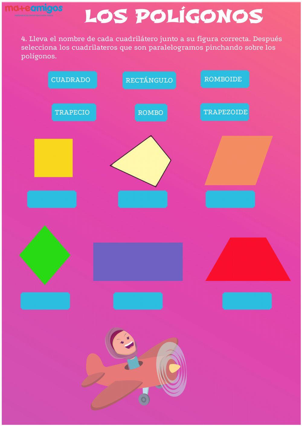 Polígonos y cuerpos geométricos