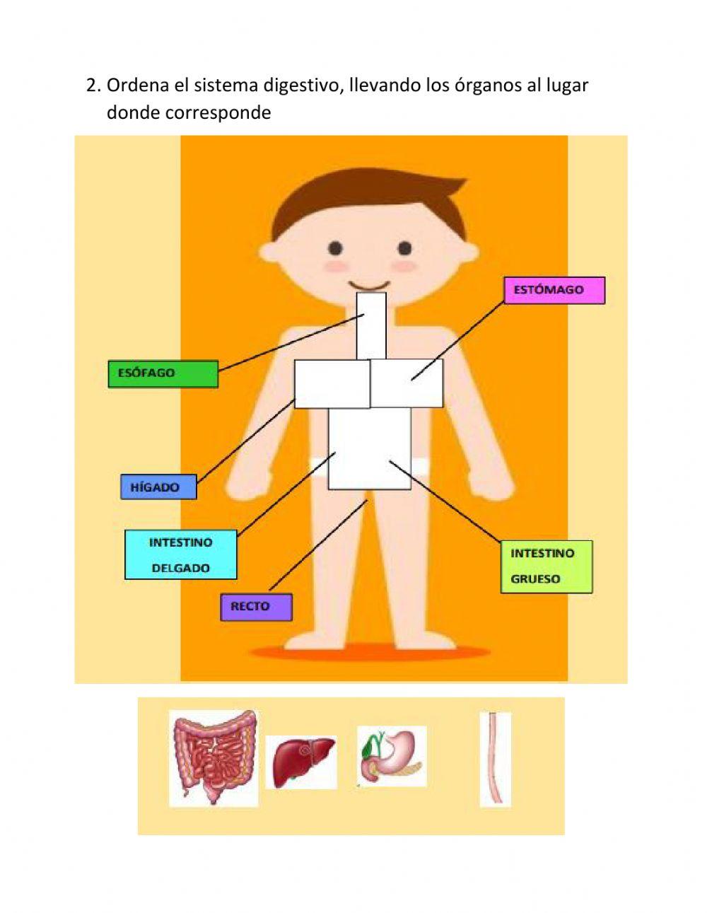 Evaluacion Ciencias Naturales