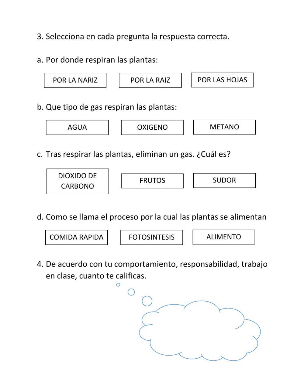 Evaluacion Ciencias Naturales