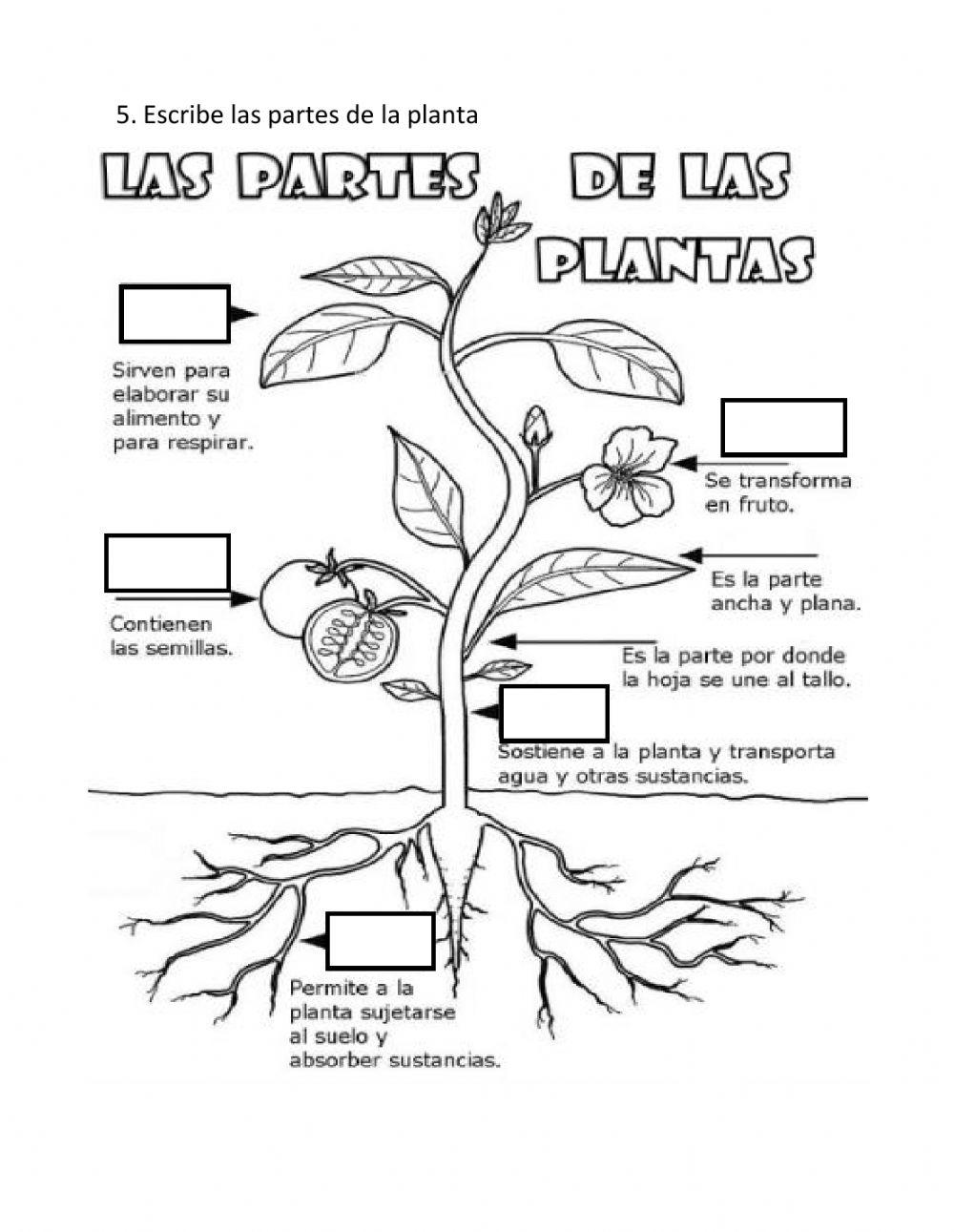 Evaluacion Ciencias Naturales