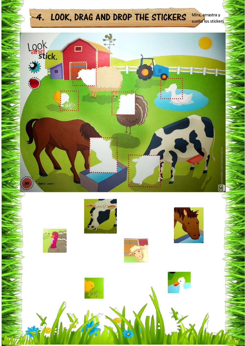 Farm Animals