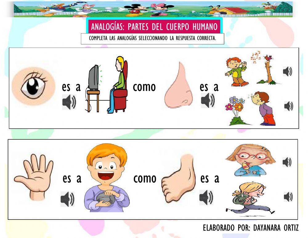 Analogías: Cuerpo