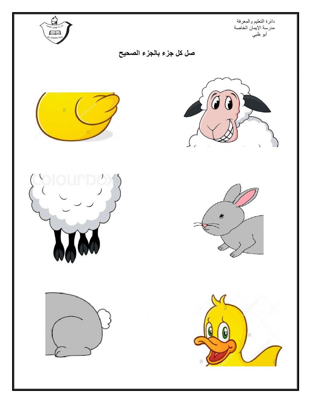 حيوانات المزرعة